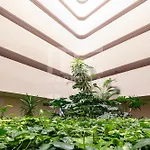 Nuevo 1 Centro Marbelsun