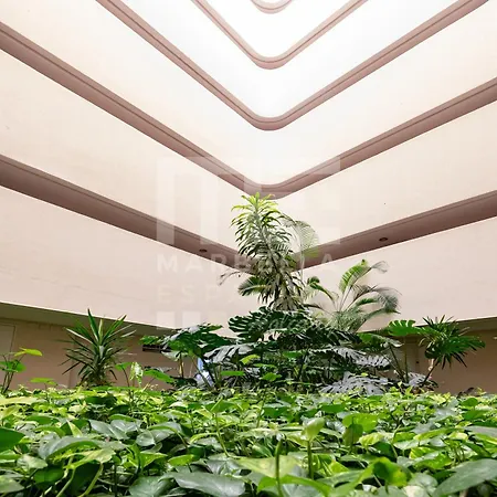 Nuevo 1 Centro Marbelsun